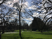 Photo by Sheila Webber of trees in the botanical gardens February 2024